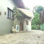 Tropical Paradise House